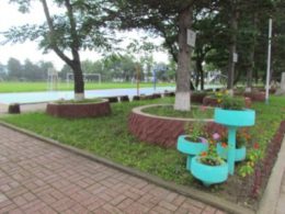 수림화, 원림화, 과수원화된 대학교정