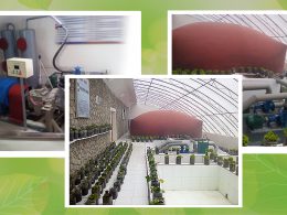 Production System of Methane Gas for Electricity Generation and Cooking