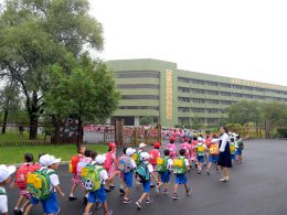 Unusual School
