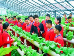 룡악산기슭의 이채로운 온실